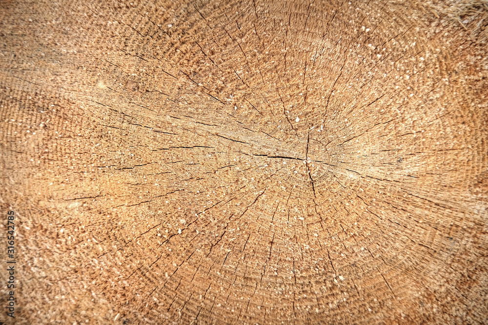 Naklejka premium wood surface with cracks in brown color