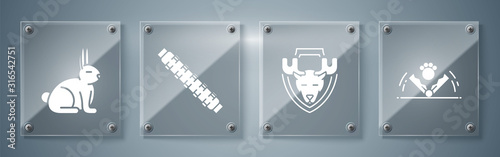 Set Trap hunting, Moose head on shield, Hunting cartridge belt with cartridges and Rabbit. Square glass panels. Vector