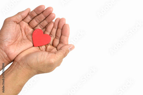 Red heart on hand isolated on white background, valentine concept.