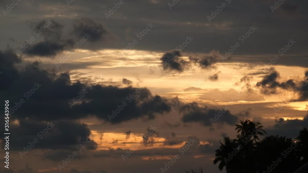 Clouds Palms Clouds Palms