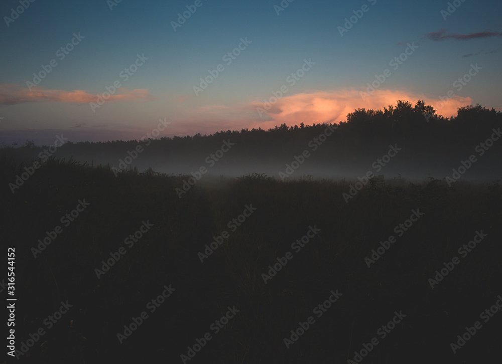 Obraz premium Sunset in the cloudy sky. Evening landscape with trees and grasses.