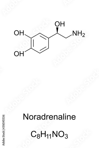 Noradrenaline molecule, norepinephrine skeletal formula. Structure of C8H11NO3. Functions as hormone and neurotransmitter in the brain. Structural formula. Illustration over white. Vector.