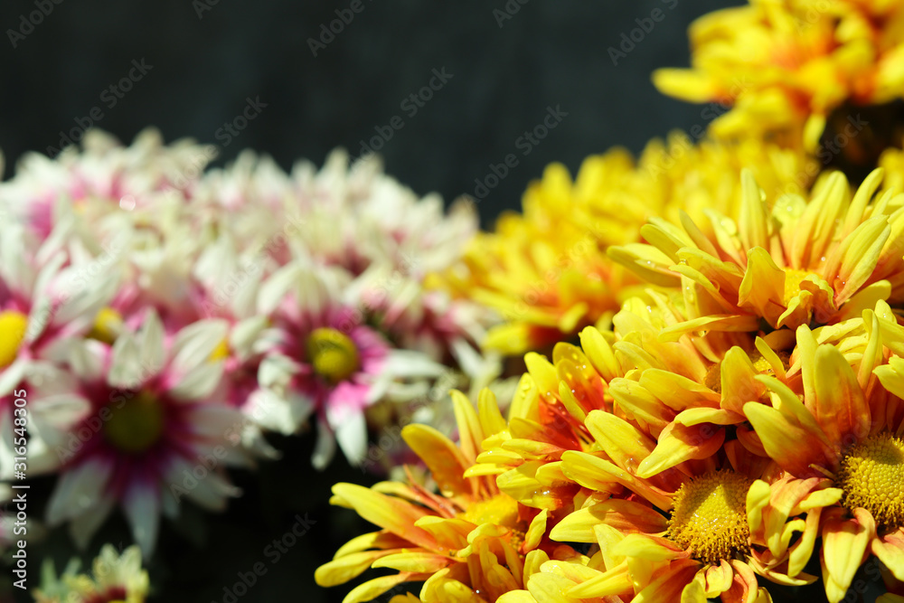 Fototapeta premium bunch of beautiful flowers for background or wallpaper.