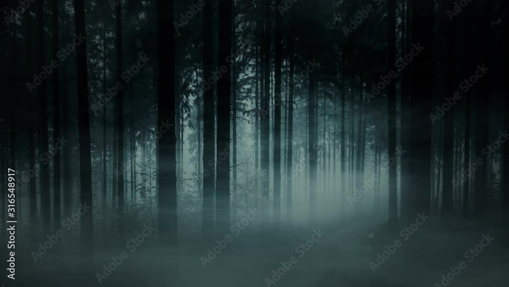 Dark foggy forest. Creepy morning mist. Forest with tall fir trees in dense fog, smoke and fog. Fairy tale landscape. Black and white video animation. Halloween concept.