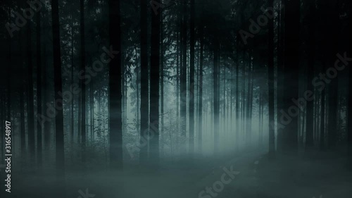 Dark foggy forest. Creepy morning mist. Forest with tall fir trees in dense fog, smoke and fog. Fairy tale landscape. Black and white video animation. Halloween concept.