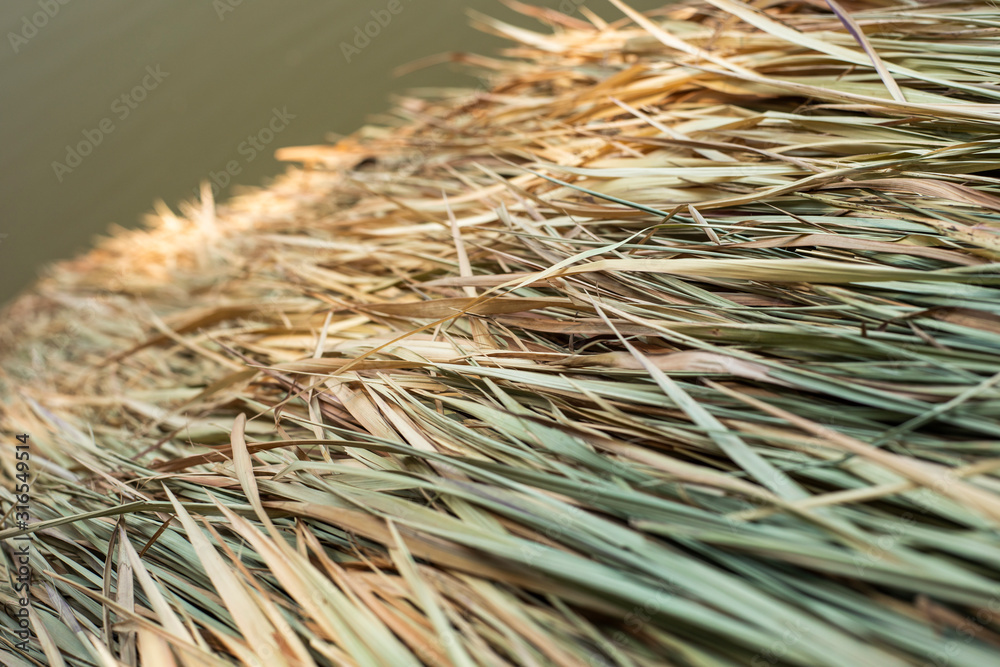 top view of grass roof and water in the pond as background top view of grass roof and water in the pond as background