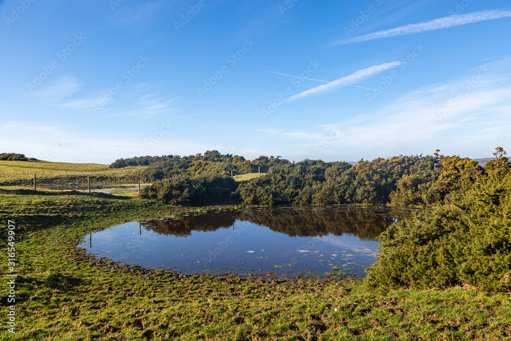 A Dew Pond near Kingston Ridge in the South Downs, on a sunny winters day