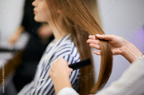 side view on cropped hairdresser holding and combing young woman's hair in beauty salon, young woman has long hair. Beauty, hair concept