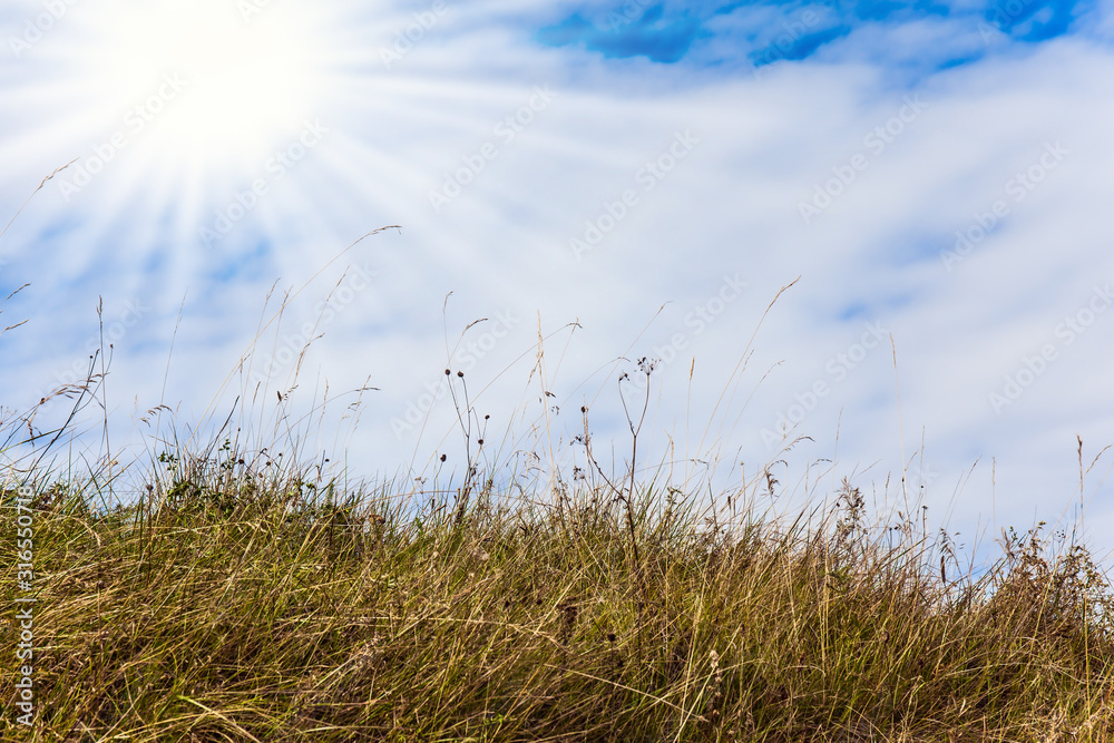 Fototapeta premium Dry grass and sun in the clouds