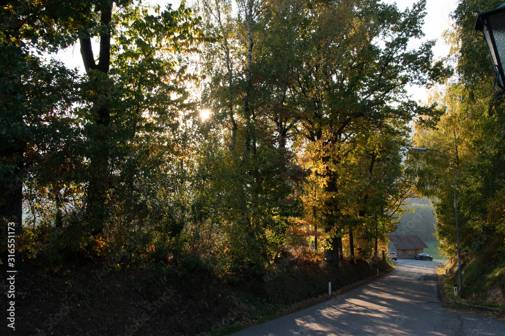 Fototapeta premium Ysperklamm hiking