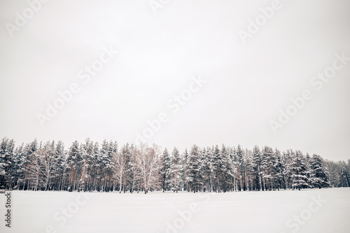 Beautiful winter nature, white snow
