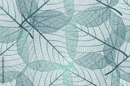 Seamless pattern with Linden leaves veins. Vector illustration. EPS 10