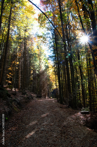 Ysperklamm hiking