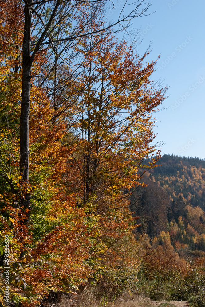 Fototapeta premium Ysperklamm hiking