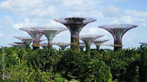 Gardens by The Bay Singapore © d7ibril
