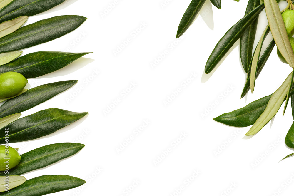 Real green olive leaves and olives background, isolated on white background for copy space and mockup.