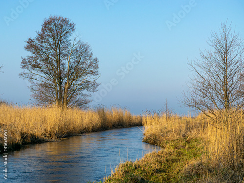 spring landscape with small river mouth, dry reeds