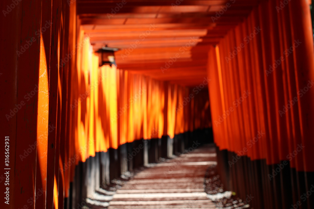 Fototapeta premium 伏見稲荷大社 千本鳥居