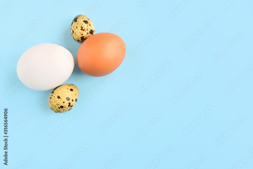 Fototapeta premium Organic chicken and quail eggs for Easter holiday on neutral light blue background. Raw egg. Easter eggs. Ingredients for healthy protein breakfast. Keto diet. Easter background traditional symbol
