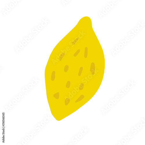 Hand drawn yellow lemon isolated on white background. Fresh organic citrus in doodle style. Summer fruit vector illustration