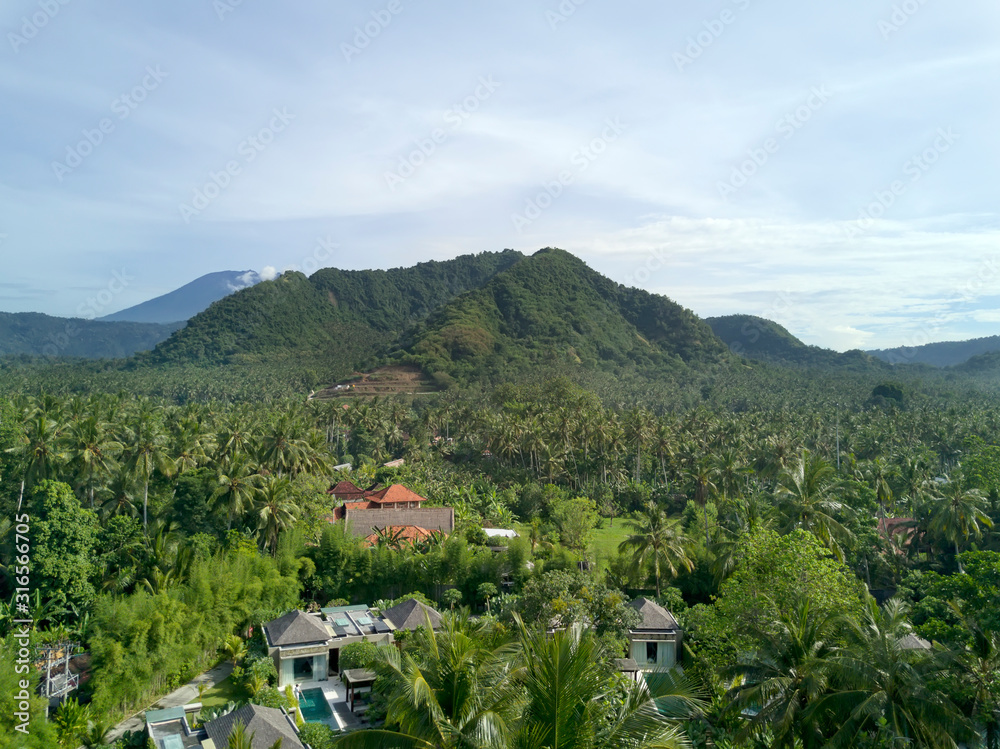 Aerial view from drone,  Bali -  Jungle and mountain