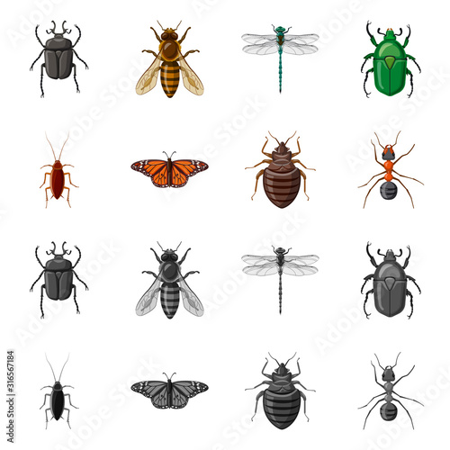 Vector illustration of insect and fly icon. Collection of insect and element stock symbol for web. © Svitlana