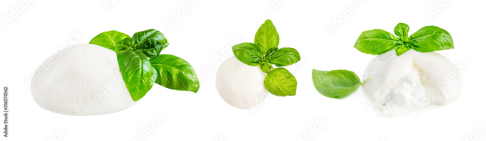 Fototapeta premium Mozzarella cheese Isolated. Traditional Italian Mozzarella ball and basil leaf on white background. Italian food concept.