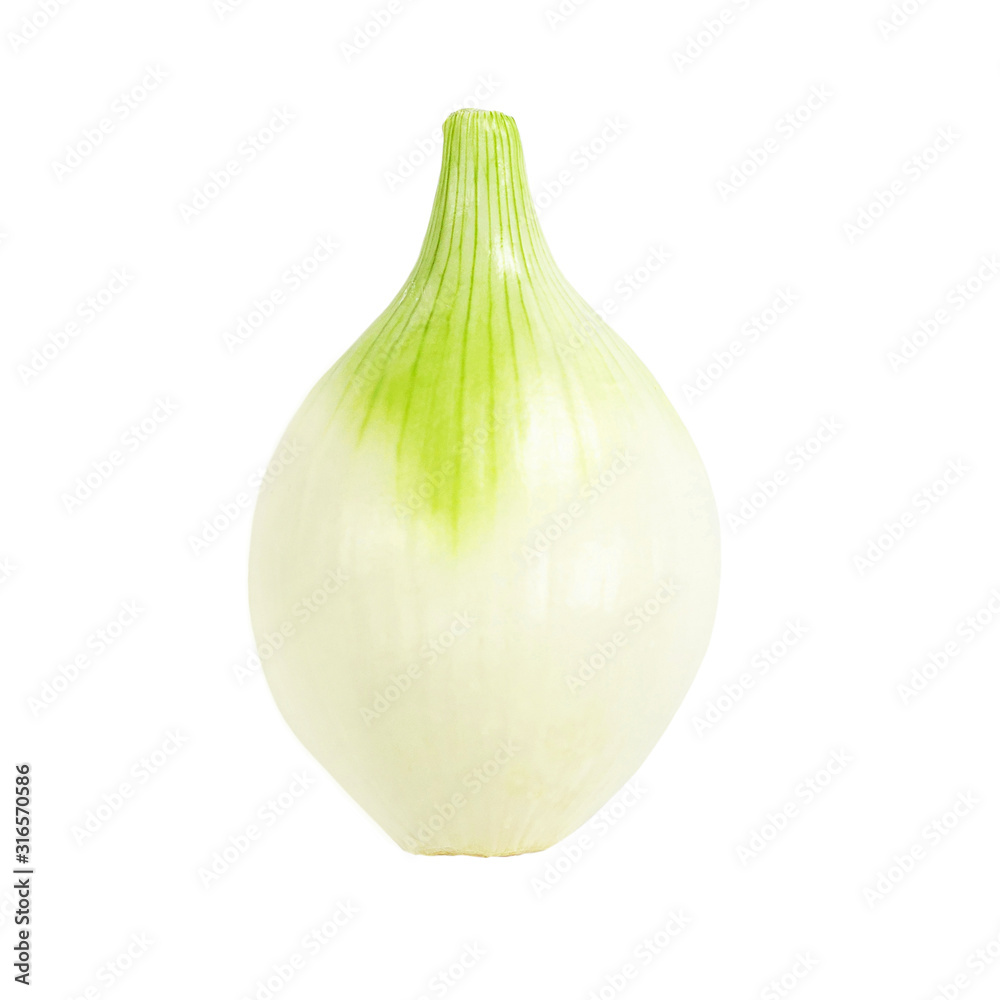 Onion isolated on white background. Fresh Bulb of green Onion vegetable close up. Onion isolated on white background. Fresh Bulb of green Onion vegetable close up.