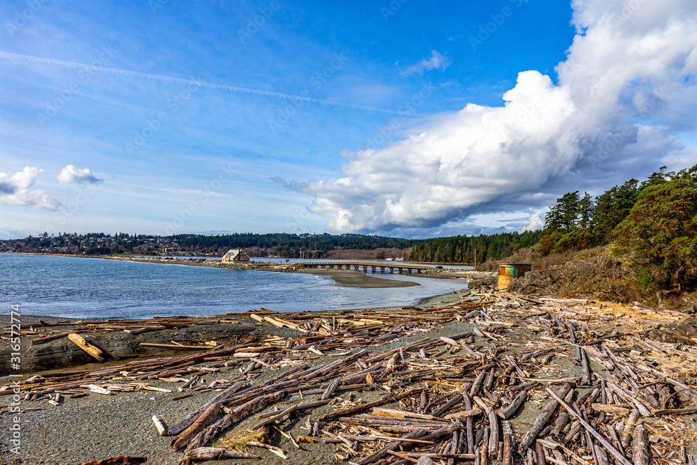 Log covered beach at Esquimalt Lagoon, puffy clouds and blue skys