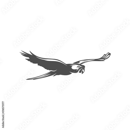 Parrot logo icon design vector illustration, Parrot logo template