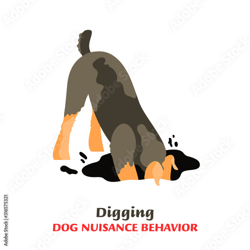 Dog Behavior Problems Icon