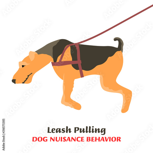 Dog behavior problem icon