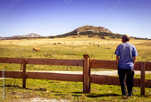 Mann vor einer Weide mit Holzzaun mit Kühen und einem Berg und weite Aussicht