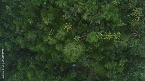Aerial view of dramatic jungle Bali Indonesia 3