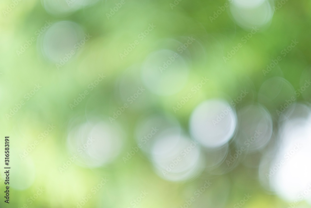 Green bokeh light nature from tree and sky background is a shiny naturally occurring shadow that is not clear but beautiful.