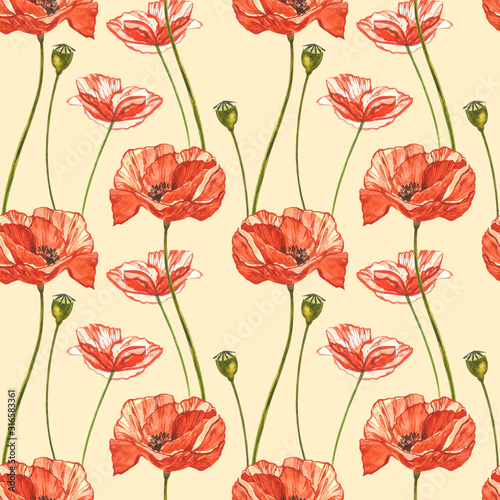 Watercolor red poppies. Seamless patterns. Wild flower set isolated on white. Botanical watercolor illustration, red poppies bouquet, rustic poppy flowers.