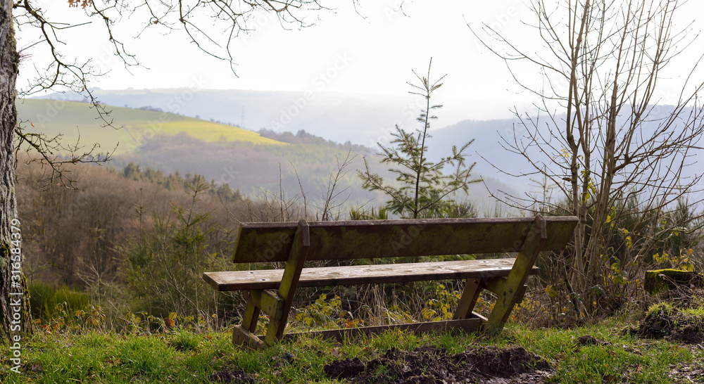bench in nature with beautiful view