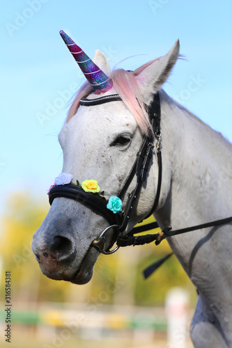  Magic background with realistic white colored unicorn horse