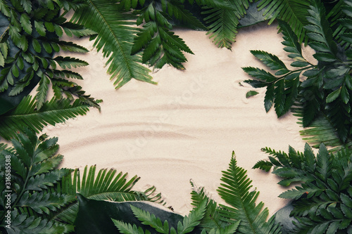 Tropical layout made of palm leaves with copy space on sand background. Flat ...