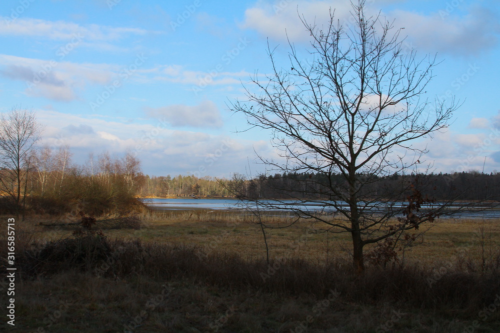 Oberpfälzer weiher