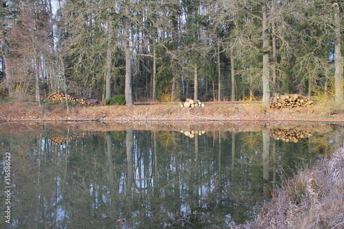 Oberpfälzer weiher