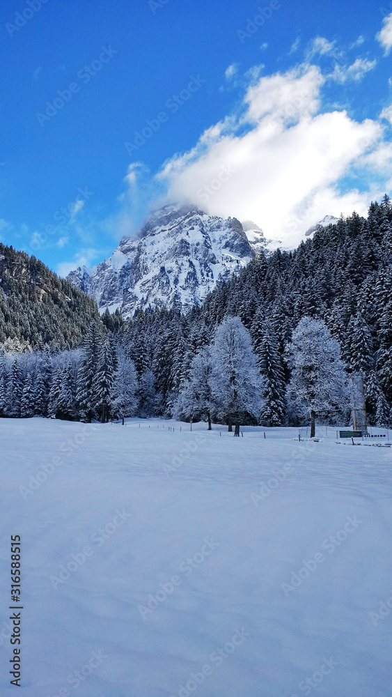 Zimowy krajobraz alpejski - Alpy, Szwajcaria