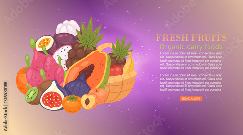 Fresh tropical fruit cartoon vector illustration with papaya, dragon fruit, carambola and lychee, fig, guava. Fresh fruits banner for food, juice, vegetarian dessert on sparkling background.