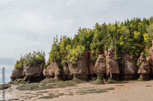 Shoreline along Bay with Rocks, see weeds and trees