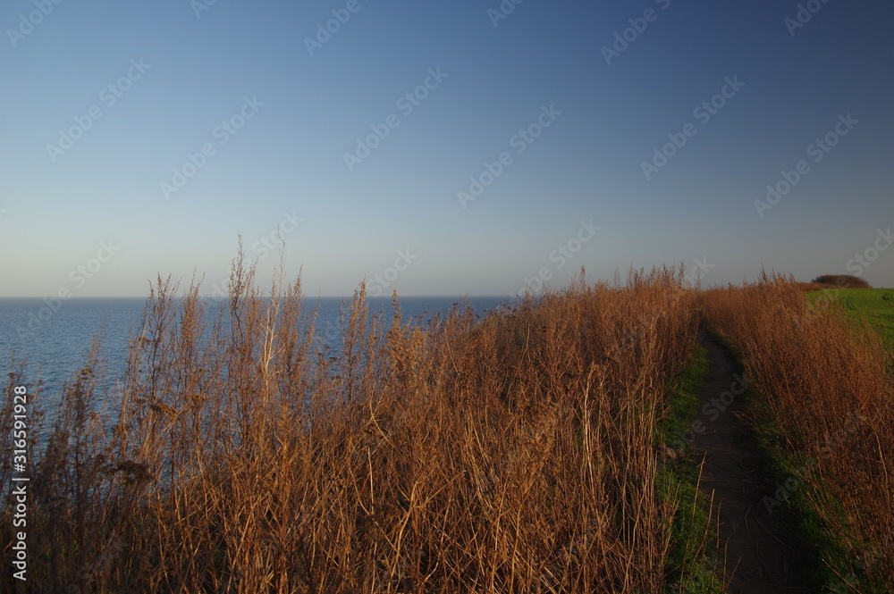 Fototapeta premium Wanderweg an boltenhagens Steilküste