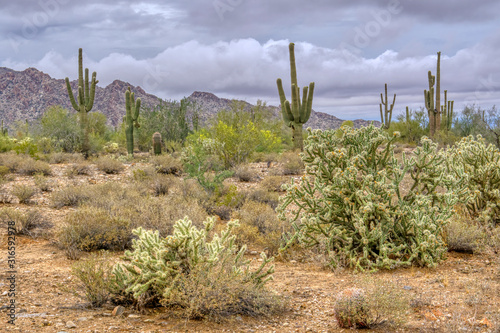 White Tank Mountain Scenes Near Phoenix Arizona © KRoberts