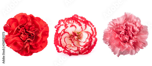 Obraz na plátně Carnations mix