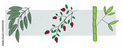 Colorful set of botanical greenery tree branches