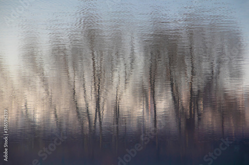 Blurry dark water reflection of the bare trees in a forest