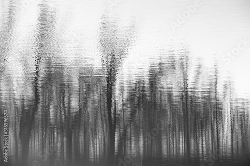 Abstract blurry dark water reflection of the bare trees in a forest in black and white